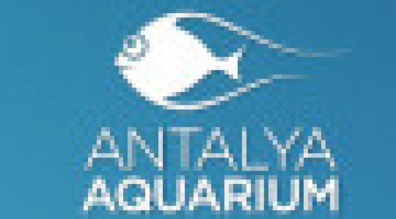 Antalya Aquarium Şikayet